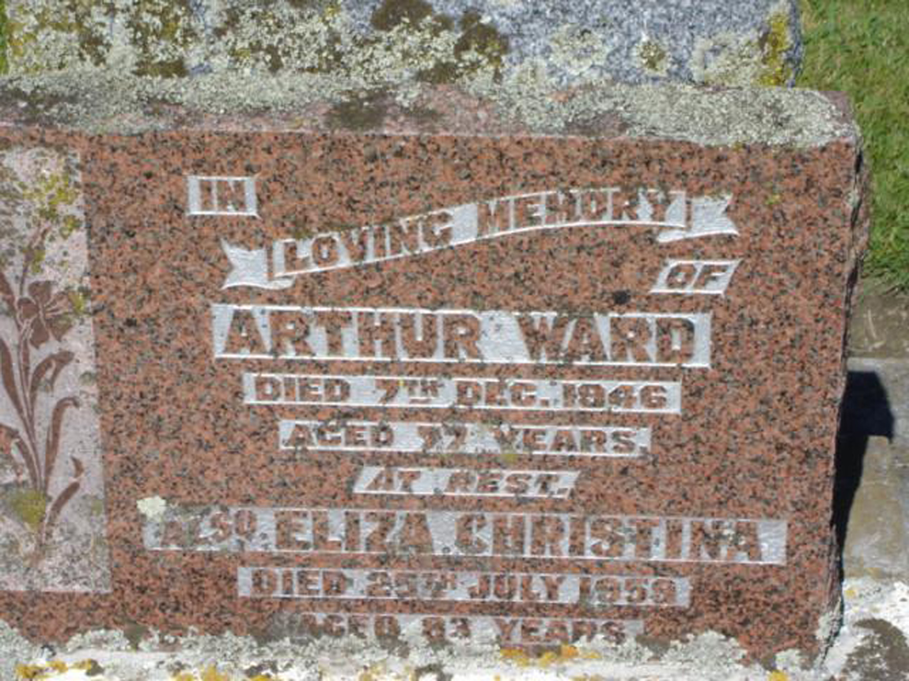 Photo of headstones/Eliza Christina McLennan hdstn 1959 Hastings